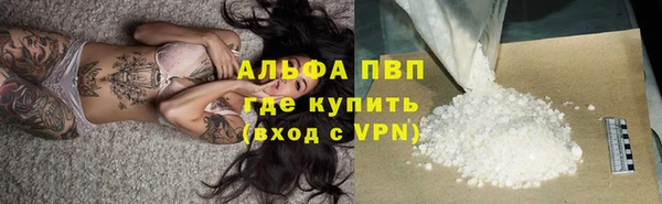спиды Ростов