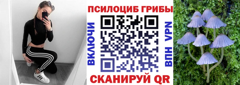 мориарти состав  Курганинск  Псилоцибиновые грибы MAGIC MUSHROOMS 