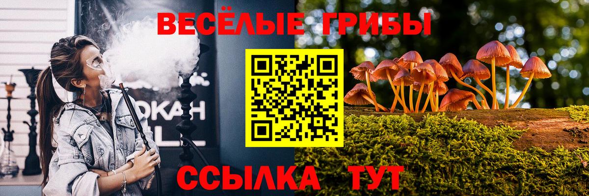 Псилоцибиновые грибы Cubensis Курганинск
