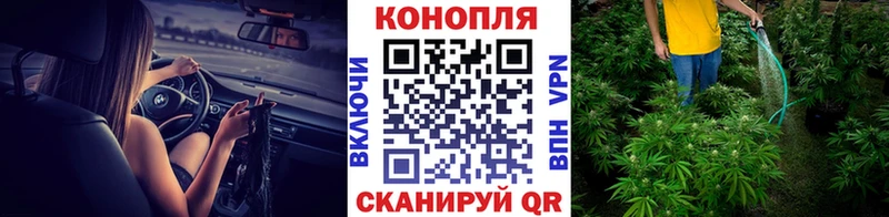 где купить   Курганинск  Марихуана VHQ 